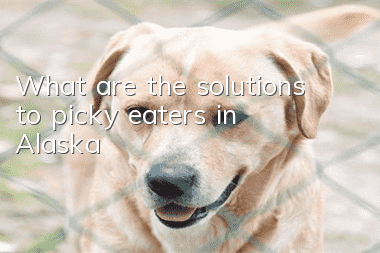 What are the solutions to picky eaters in Alaska?