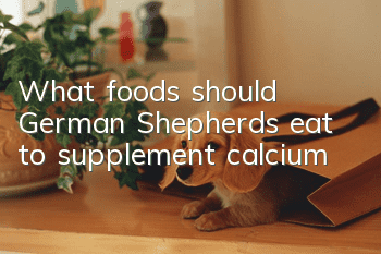 What foods should German Shepherds eat to supplement calcium?