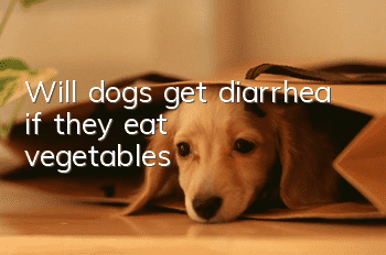 Will dogs get diarrhea if they eat vegetables?