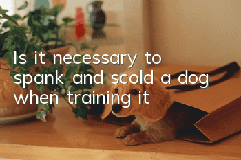 Is it necessary to spank and scold a dog when training it?