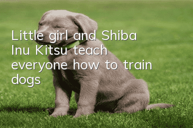 Little girl and Shiba Inu Kitsu teach everyone how to train dogs
