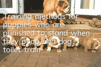Training methods for puppies who are punished to stand when they poop and dog toilet training