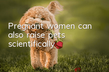 Pregnant women can also raise pets scientifically