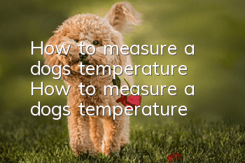 How to measure a dog’s temperature How to measure a dog’s temperature