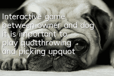Interactive game between owner and dog: it is important to play "throwing and picking up"
