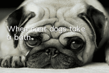 When can’t dogs take a bath?