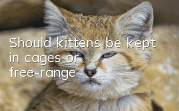 Should kittens be kept in cages or free-range?