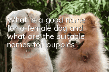 What is a good name for a female dog and what are the suitable names for puppies?