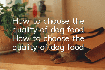 How to choose the quality of dog food How to choose the quality of dog food