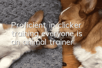 Proficient in clicker training, everyone is an animal trainer