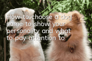How to choose a dog name to show your personality and what to pay attention to