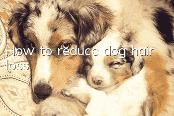 How to reduce dog hair loss