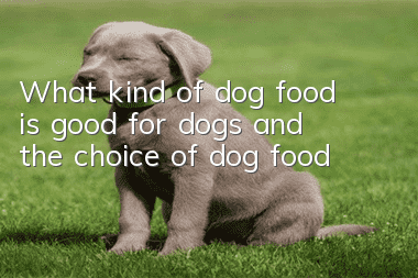 What kind of dog food is good for dogs and the choice of dog food