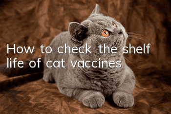 How to check the shelf life of cat vaccines