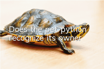 Does the pet python recognize its owner?