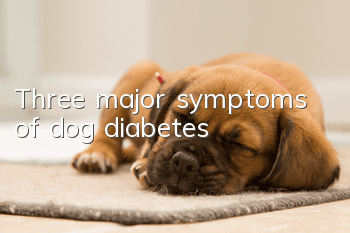 Three major symptoms of dog diabetes