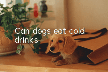 Can dogs eat cold drinks?