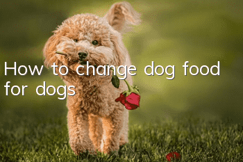 How to change dog food for dogs