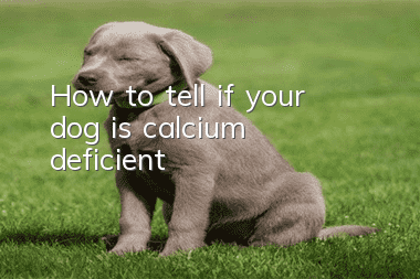 How to tell if your dog is calcium deficient
