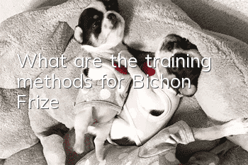 What are the training methods for Bichon Frize?