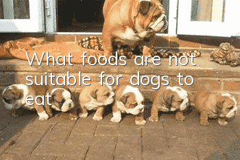What foods are not suitable for dogs to eat?