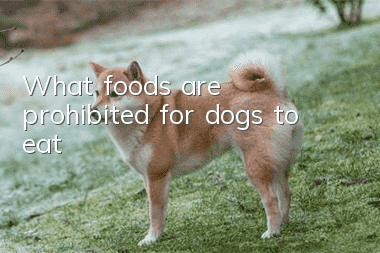 What foods are prohibited for dogs to eat?