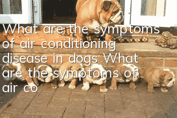 What are the symptoms of air conditioning disease in dogs? What are the symptoms of air conditioning disease in dogs?