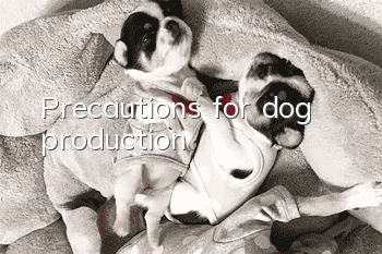 Precautions for dog production