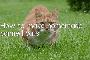 How to make homemade canned cats