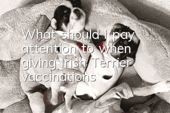 What should I pay attention to when giving Irish Terrier vaccinations?