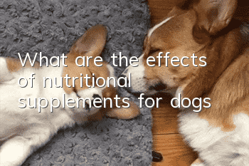What are the effects of nutritional supplements for dogs?