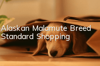 Alaskan Malamute Breed Standard Shopping