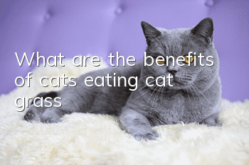 What are the benefits of cats eating cat grass?