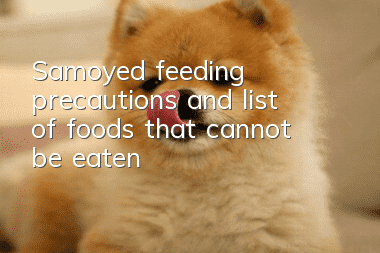 Samoyed feeding precautions and list of foods that cannot be eaten