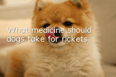 What medicine should dogs take for rickets?