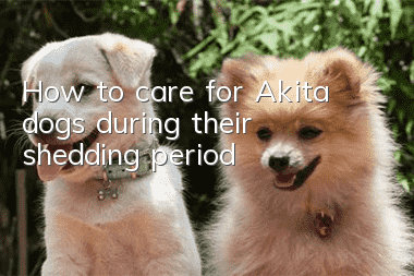 How to care for Akita dogs during their shedding period?