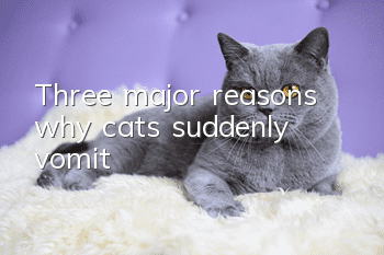 Three major reasons why cats suddenly vomit