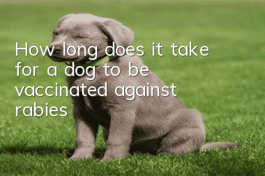 How long does it take for a dog to be vaccinated against rabies?
