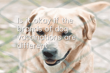 Is it okay if the brands of dog vaccinations are different?