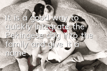 It is a good way to quickly integrate the Pekingese dog into the family and give it a name.