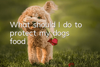 What should I do to protect my dog’s food?