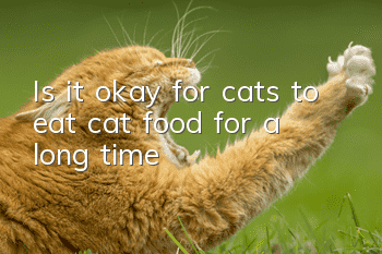 Is it okay for cats to eat cat food for a long time?