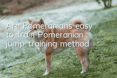 Are Pomeranians easy to train? Pomeranian jump training method