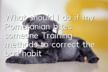 What should I do if my Pomeranian bites someone? Training methods to correct the bad habit of biting Pomeranian dogs