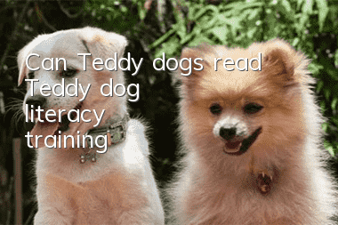 Can Teddy dogs read? Teddy dog literacy training?
