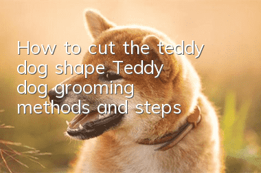 How to cut the teddy dog shape? Teddy dog grooming methods and steps