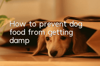 How to prevent dog food from getting damp?