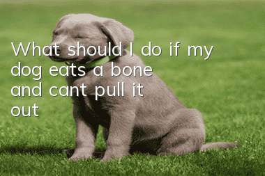What should I do if my dog eats a bone and can’t pull it out?