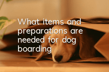 What items and preparations are needed for dog boarding?