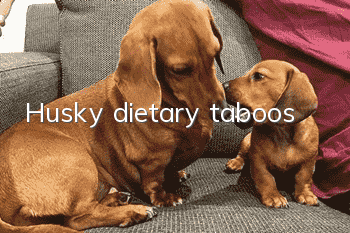 Husky dietary taboos
